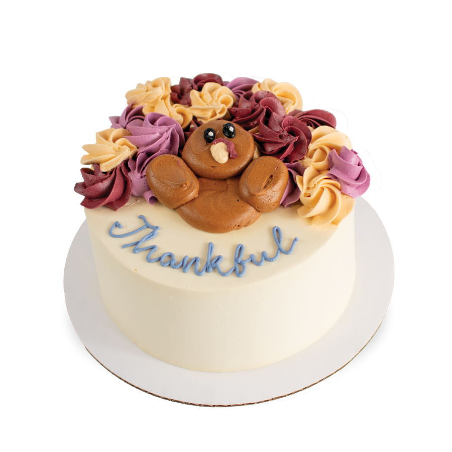 Thankful Turkey Cake