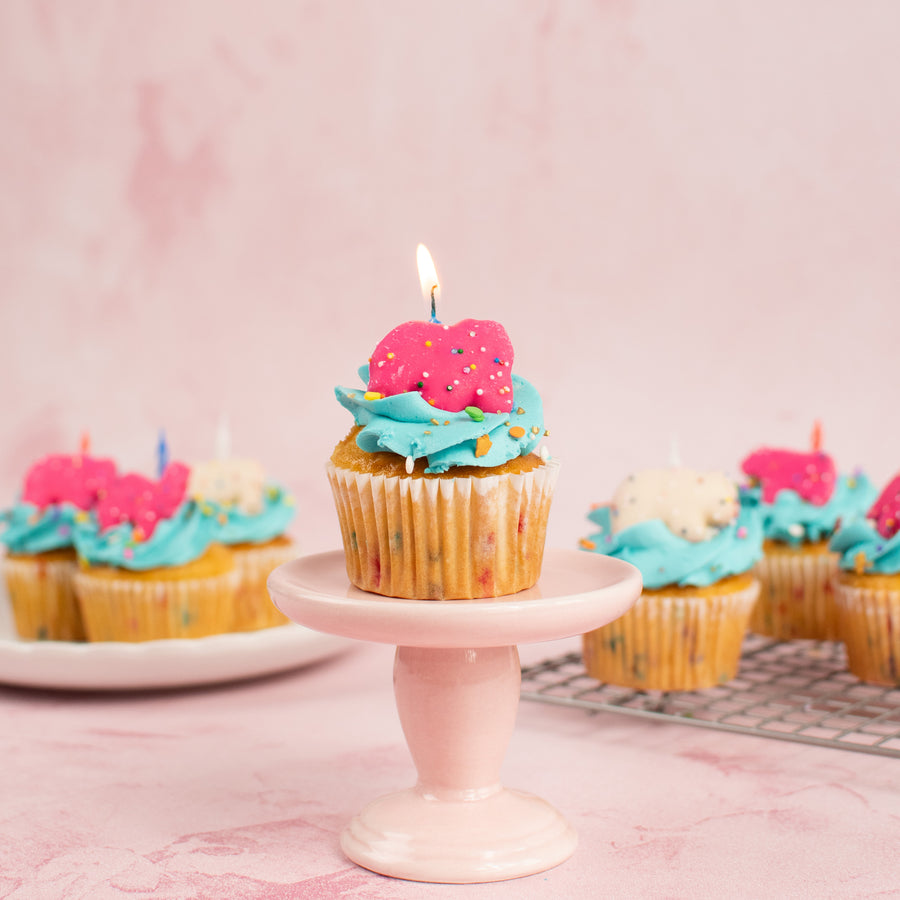 Celebration Cupcakes