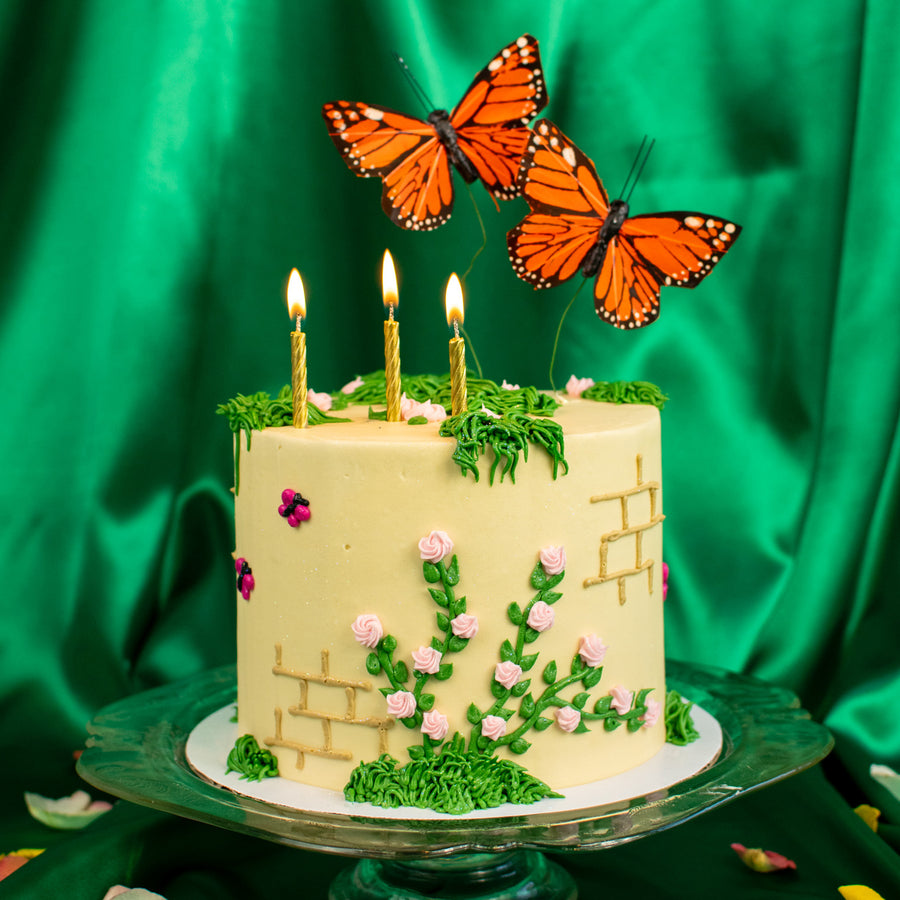 Fairy Garden